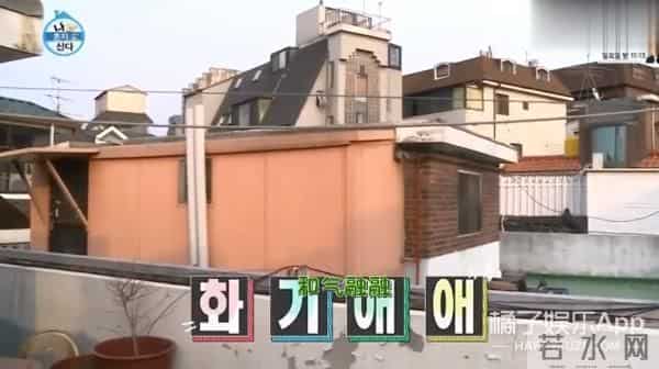 《1988》子贤因自卑整容,父母外貌遭嘲,女丑就食物链底层?