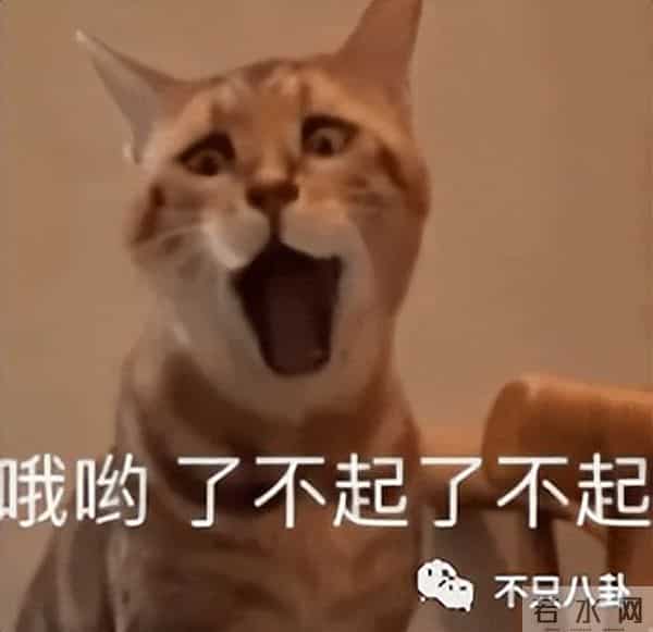 原本不被看好的一对,居然要结婚了?