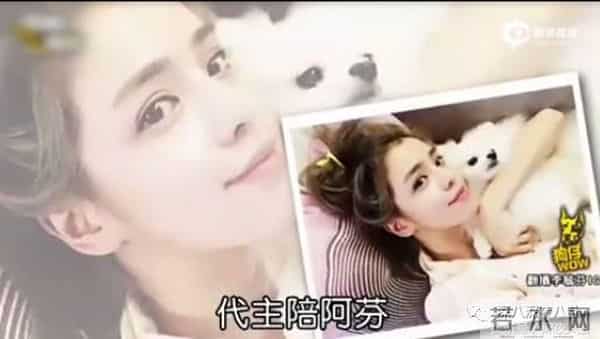 罗志祥、房祖名、柯震东一个都没逃整容脸李毓芬捆绑炒作