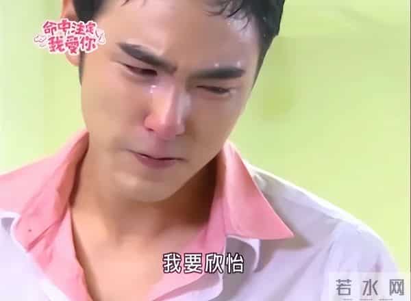 收视最高的10部台湾偶像剧：《天国的嫁衣》第9，《流星花园》第2