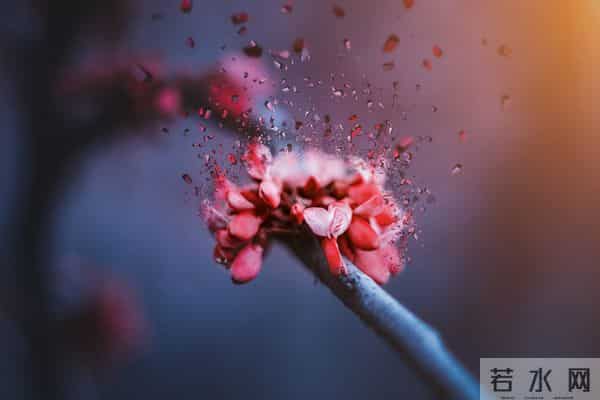 上联：三星白兰地；下联：五月黄梅天 100个无情对，超有趣对联