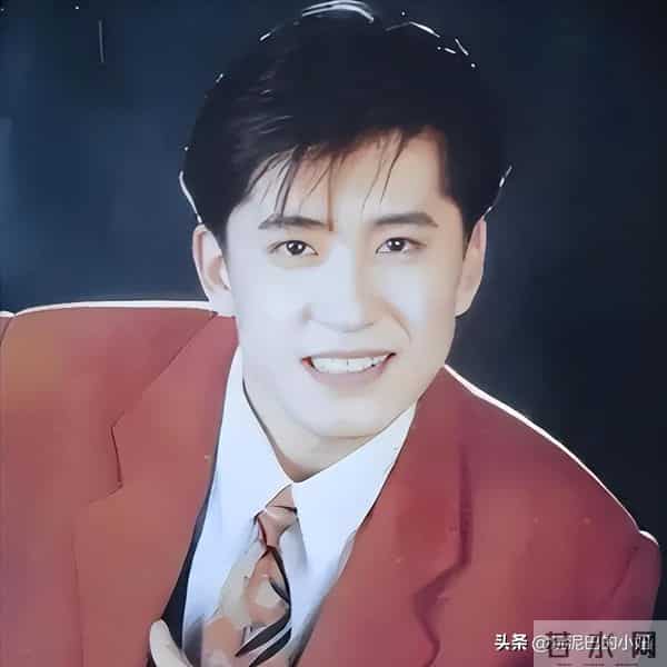 隐瞒了28年后,杨钰莹终于坦白:如果当年接受毛宁,现在早已当妈_0