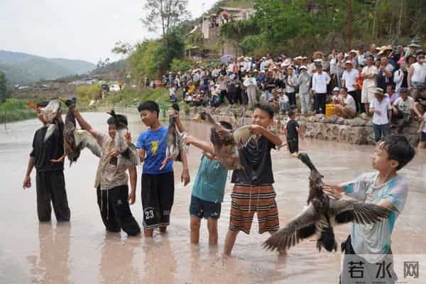 “芋”见甸尾 寻梦乡愁:建水民俗活动精彩纷呈