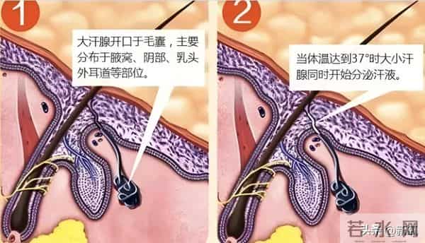 从史上最年轻视后落魄成大码糊咖,谁还记得她的神仙落泪啊!