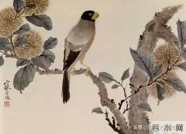 国画大家江寒汀的写意花鸟作品赏析！