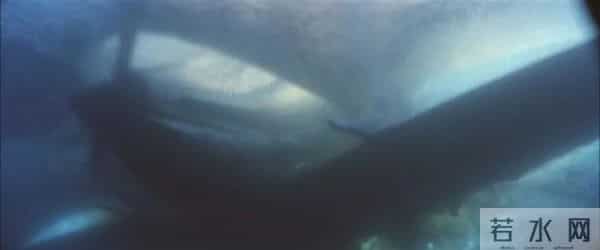 片方失利，高管辞职，18年前投资1.4亿的大片《珍珠港》差在哪？