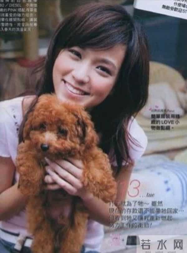 5任女友全是绝色美人，又娶大5岁国民女神，赵又廷到底有何魅力？