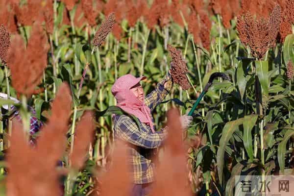 今日秋分,节日快乐!