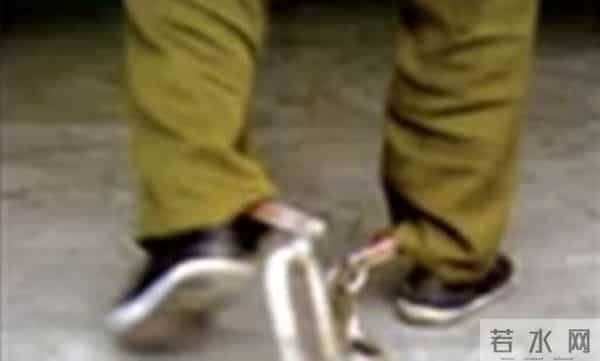 4男子盗挖女尸“配阴婚”被公诉!杀人、盗尸、贩尸…这个习俗比想象中更可怕