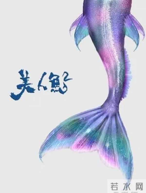 2020年，这150部华语电影要来榨干你的钱包了