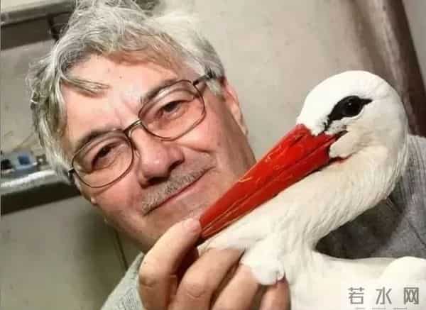 异地17年,每年飞13000公里相见,却在生子后离开!这个“负心汉”看哭了全世界……