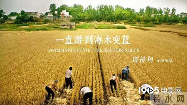 2020年，这150部华语电影要来榨干你的钱包了