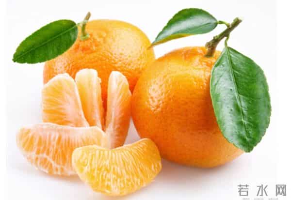 今日祝福：陈美琪，《新白娘子传奇》永远的小青（图）