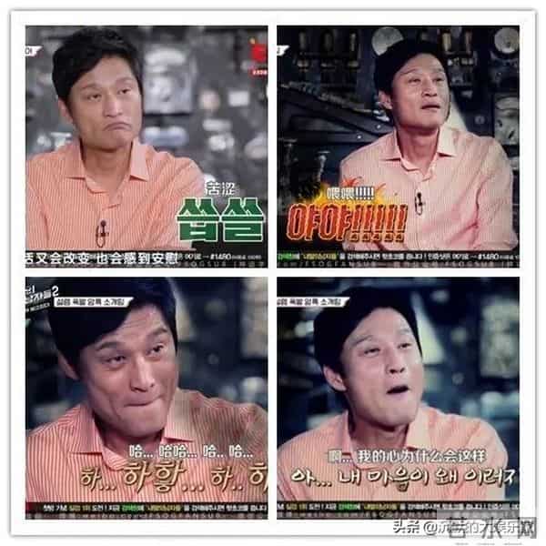 10部恋爱韩综：我可以单身，但我磕的CP必须结婚