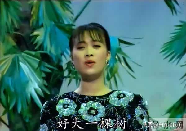 90年代春晚——1992年第10届（杨澜主持，小品冲顶）