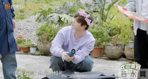 魏晨翻红,意料之中