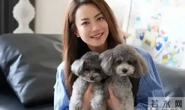 英皇出大事166亿港元巨债，经纪人霍汶希和她的神奇艺人救场内幕