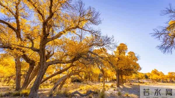 内蒙古:被大片导演青睐的天然“摄影棚”