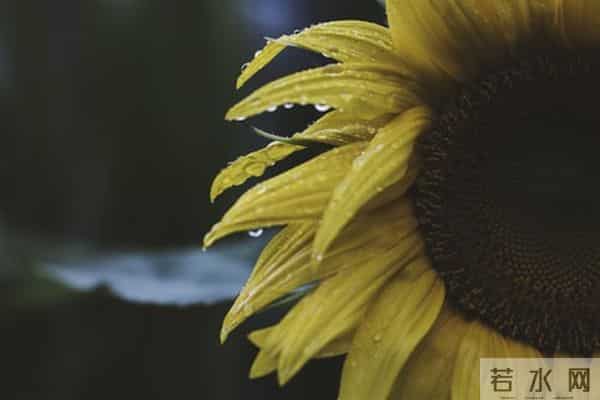 这届90后，连“性生活”都不期待了