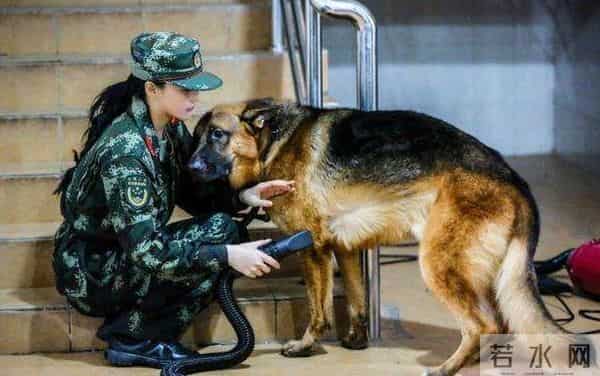 芒果台这档节目曾被评最差阵容,七年后的八卦江湖却被他们承包