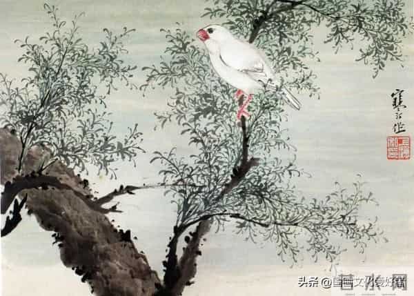 国画大家江寒汀的写意花鸟作品赏析！