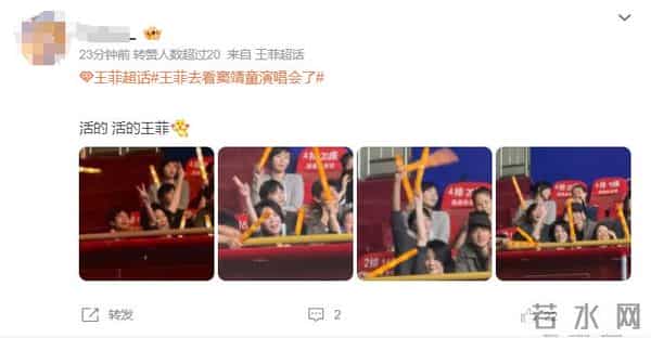 王菲惊喜现身窦靖童演唱会!网友:状态绝了
