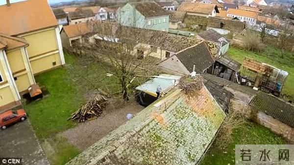 异地17年,每年飞13000公里相见,却在生子后离开!这个“负心汉”看哭了全世界……