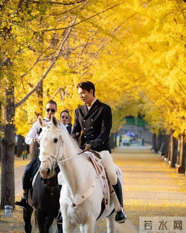 拯救剧荒!李敏镐金秀贤朴敏英即将神仙打架,金泰熙复出新剧接档《爱的迫降》