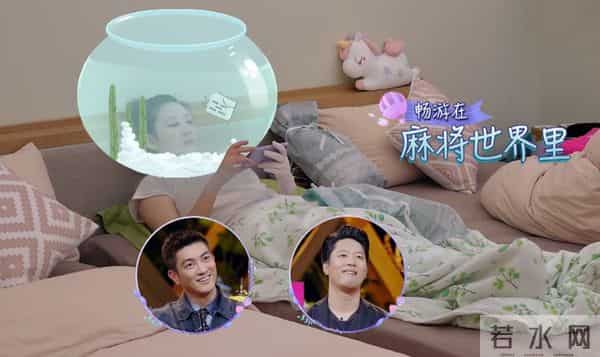 凌潇肃老婆上《妻旅》不刮腋毛，抬起手黑黑的一片，瞬间就尴尬了