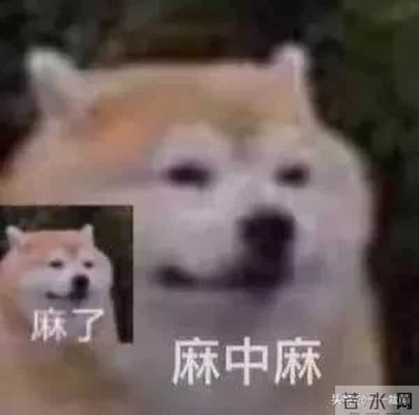 吴亦凡:爽死了。郑爽:凡死了