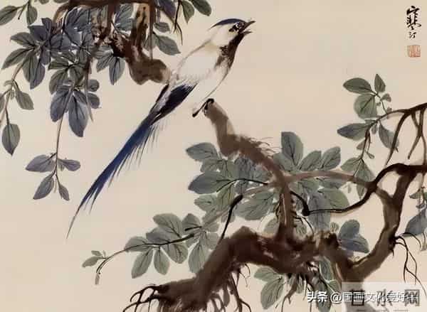 国画大家江寒汀的写意花鸟作品赏析！