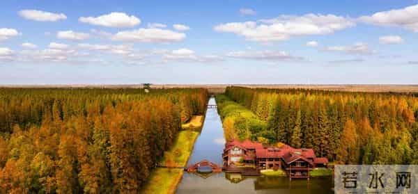 江苏11、12月最适合赏秋的6个好去处,带娃赏景两不误,选一个冲