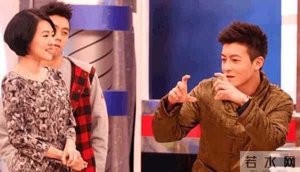 成为山鸡嫂之前,应采儿要给孙耀威生双胞胎,还差点嫁给向佐