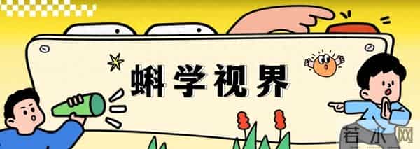 北京“市服”为什么这么好穿,防水又透气是怎么做到的?