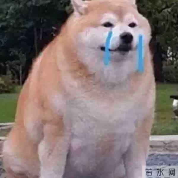 日本才是真正的“整形大国”！能年玲奈的换头大法了解一下