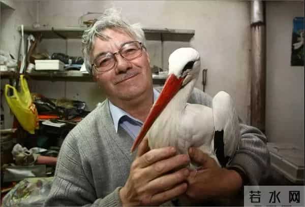 异地17年,每年飞13000公里相见,却在生子后离开!这个“负心汉”看哭了全世界……