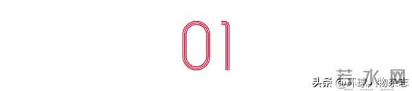 79岁“摇滚奶奶”全网走红,一开口把王菲唱到“肝儿颤”