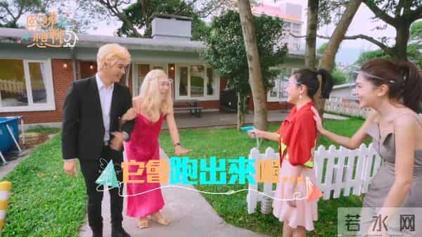 小S新节目难回“巅峰”，畅聊前男友，却不如“扮丑”有看点？