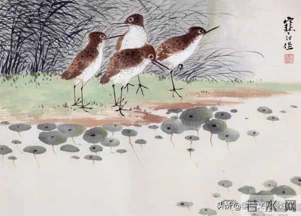 国画大家江寒汀的写意花鸟作品赏析！