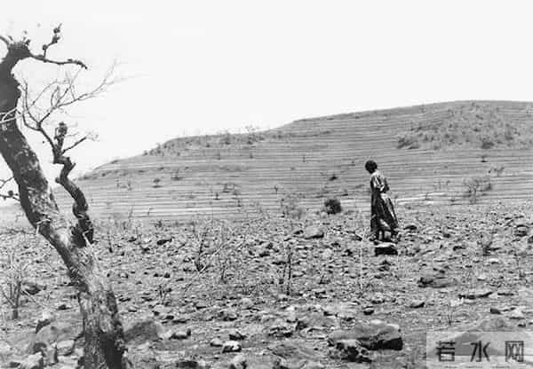 8个小时7亿善款，这是我们这个时代音乐人的大爱与力量