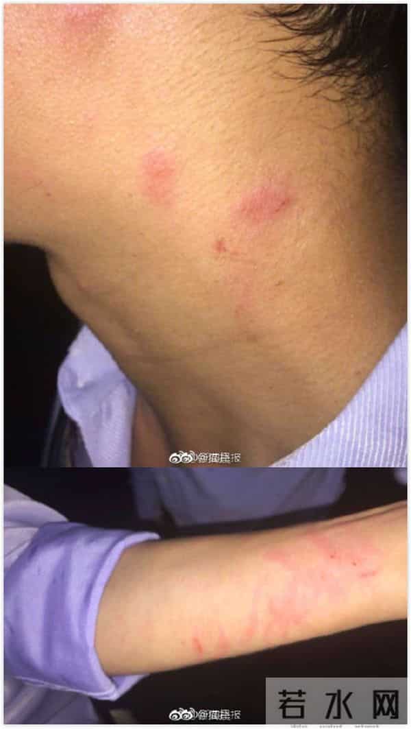 晚安｜愿世界和平，愿安心吃瓜