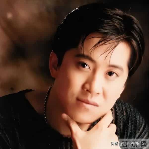 隐瞒了28年后,杨钰莹终于坦白:如果当年接受毛宁,现在早已当妈_0