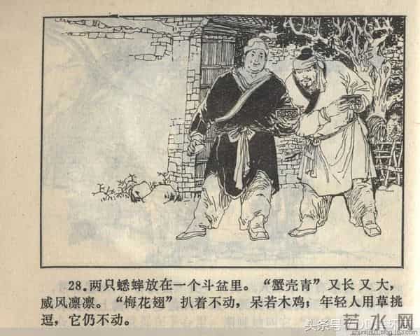 聊斋志异系列之《梅女》（陕美版）1982