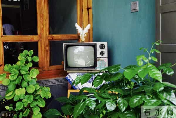 优秀作文｜张琳悦《好景最是从前慢》