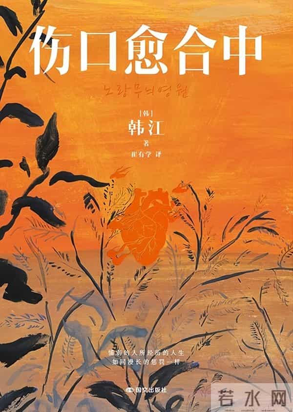 新诺奖季后再读韩江：一种源于疼痛的写作