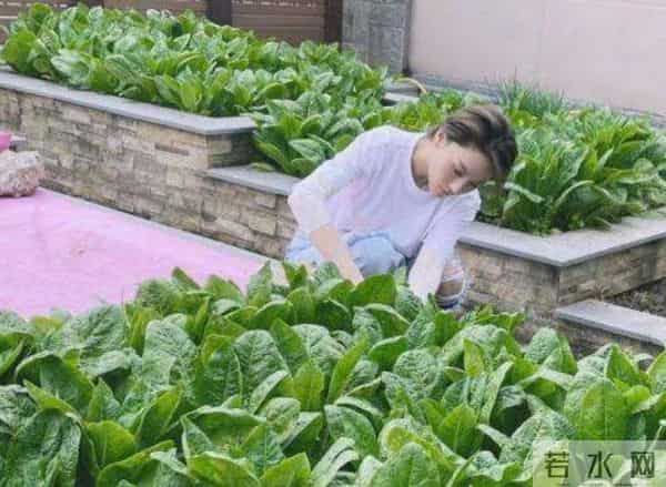 张馨予：我这辈子最正确的决定，就是嫁了个普通丈夫