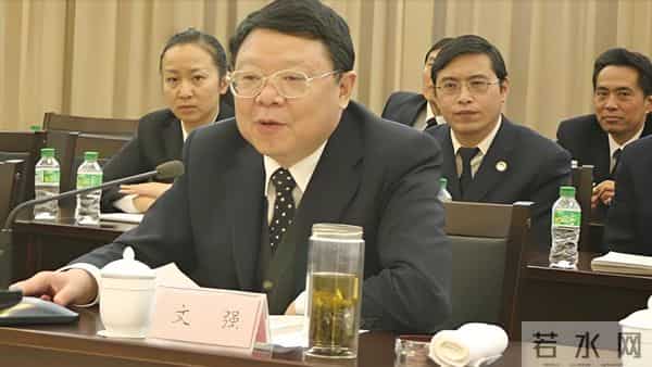 重庆扫黑局长文强，霸凌警员强逼女明星，最后被执行死刑