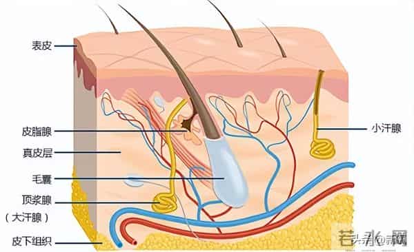 从史上最年轻视后落魄成大码糊咖,谁还记得她的神仙落泪啊!