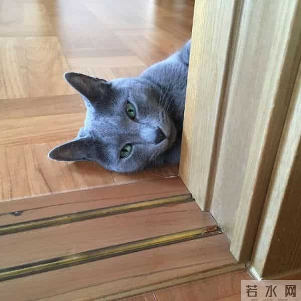 [2PM][分享]160610 灿盛上线安利歌曲 泽演盼望2PM回归