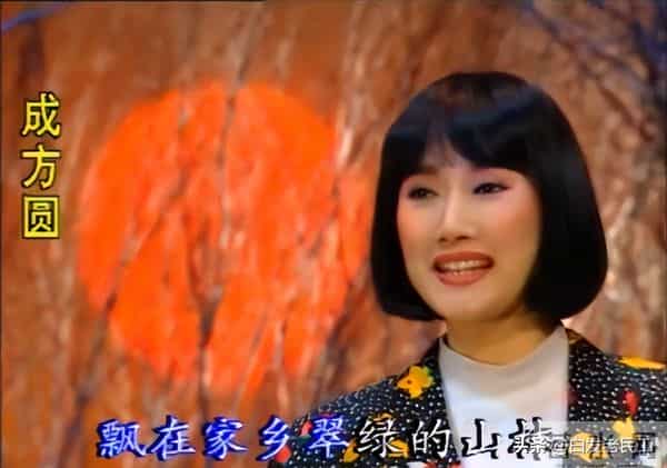 90年代春晚——1992年第10届（杨澜主持，小品冲顶）